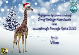 adopcja żyrafy Vilmy i życzenia Świąteczne